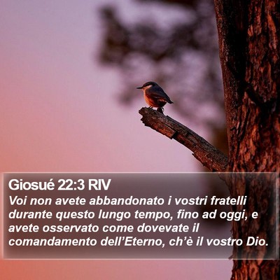 Giosué 22:3 RIV Bible Verse Image