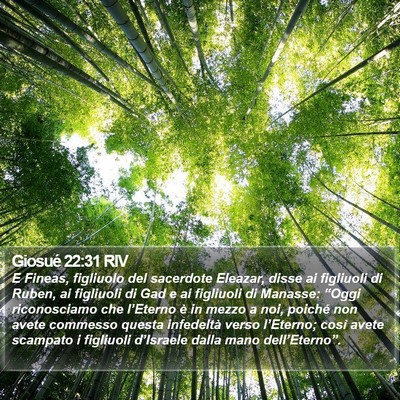 Giosué 22:31 RIV Bible Verse Image