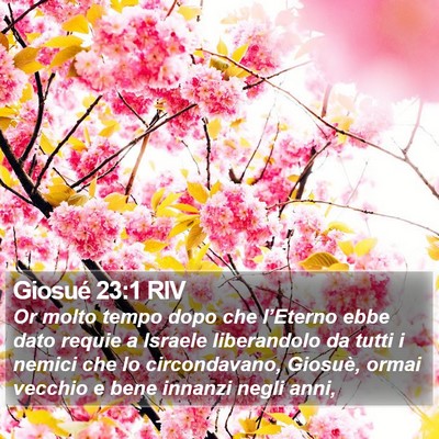 Giosué 23:1 RIV Bible Verse Image