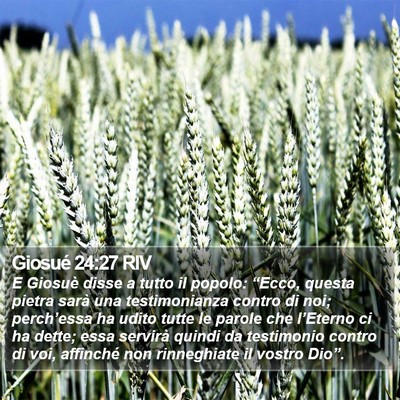 Giosué 24:27 RIV Bible Verse Image