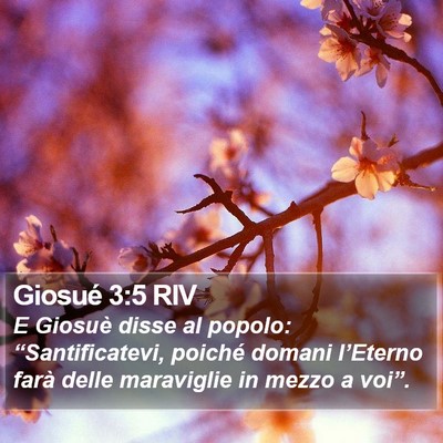 Giosué 3:5 RIV Bible Verse Image