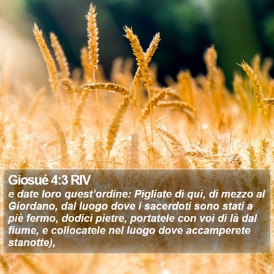Giosué 4:3 RIV Bible Verse Image