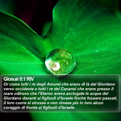 Giosué 5:1 RIV Bible Verse Image
