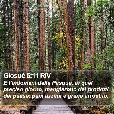 Giosué 5:11 RIV Bible Verse Image