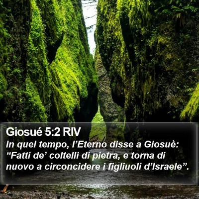 Giosué 5:2 RIV Bible Verse Image
