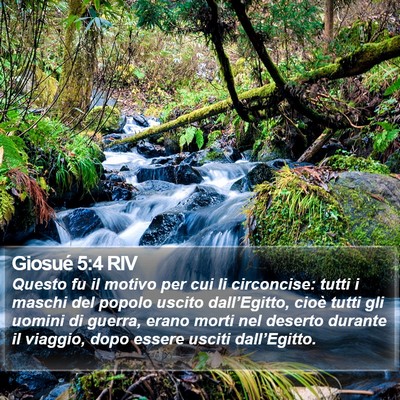 Giosué 5:4 RIV Bible Verse Image
