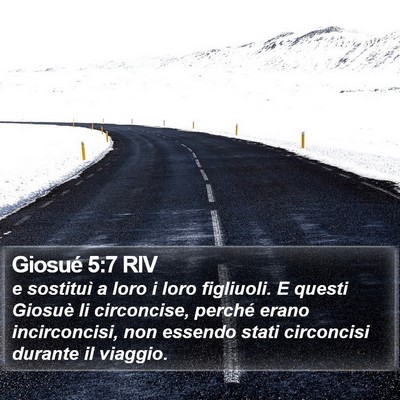 Giosué 5:7 RIV Bible Verse Image