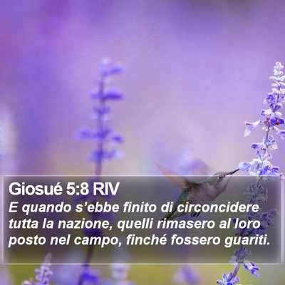 Giosué 5:8 RIV Bible Verse Image
