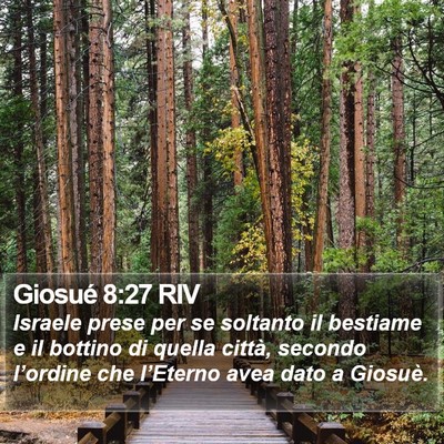 Giosué 8:27 RIV Bible Verse Image