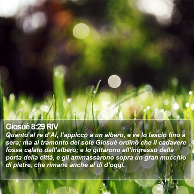 Giosué 8:29 RIV Bible Verse Image