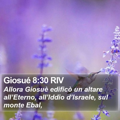 Giosué 8:30 RIV Bible Verse Image