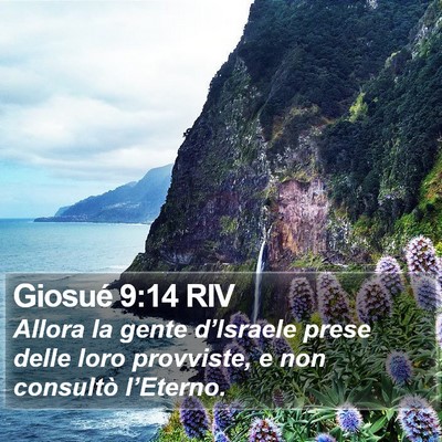 Giosué 9:14 RIV Bible Verse Image