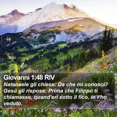 Giovanni 1:48 RIV Bible Verse Image