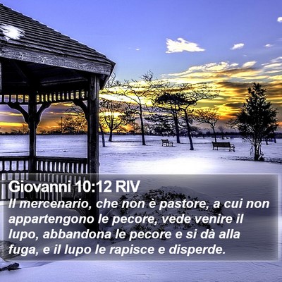 Giovanni 10:12 RIV Bible Verse Image