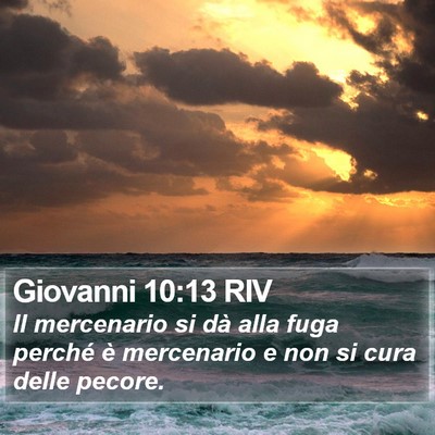 Giovanni 10:13 RIV Bible Verse Image
