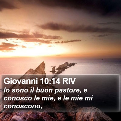 Giovanni 10:14 RIV Bible Verse Image
