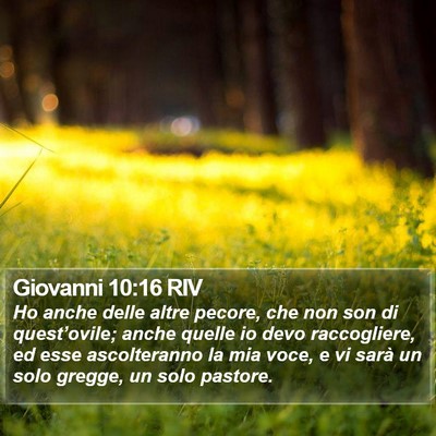 Giovanni 10:16 RIV Bible Verse Image