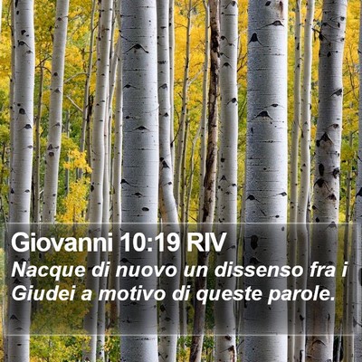 Giovanni 10:19 RIV Bible Verse Image