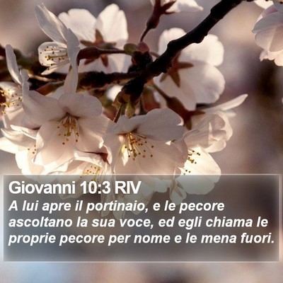 Giovanni 10:3 RIV Bible Verse Image