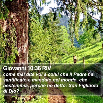 Giovanni 10:36 RIV Bible Verse Image