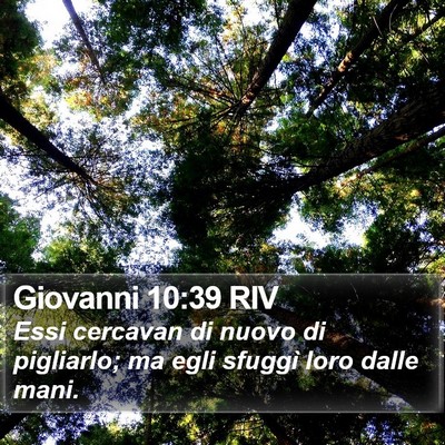 Giovanni 10:39 RIV Bible Verse Image