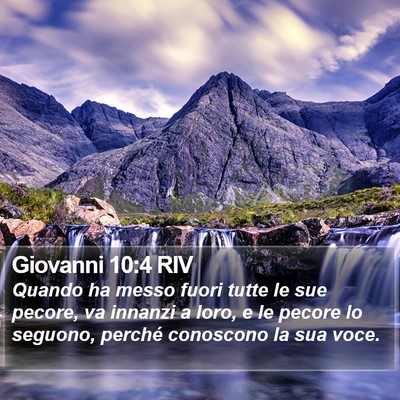 Giovanni 10:4 RIV Bible Verse Image