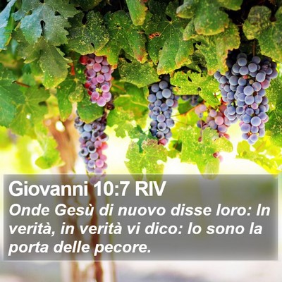 Giovanni 10:7 RIV Bible Verse Image