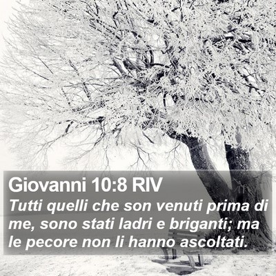 Giovanni 10:8 RIV Bible Verse Image