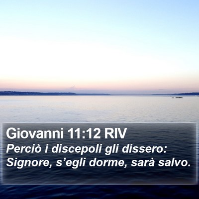 Giovanni 11:12 RIV Bible Verse Image