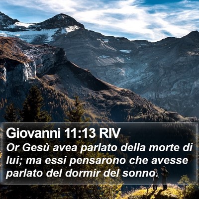 Giovanni 11:13 RIV Bible Verse Image