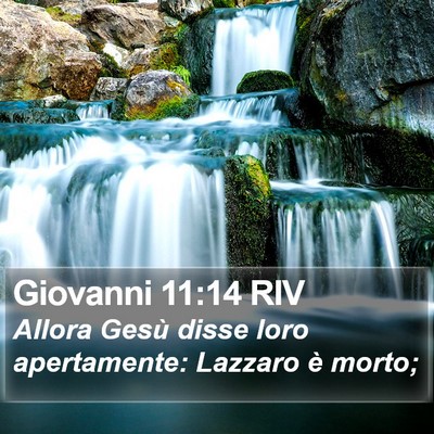 Giovanni 11:14 RIV Bible Verse Image