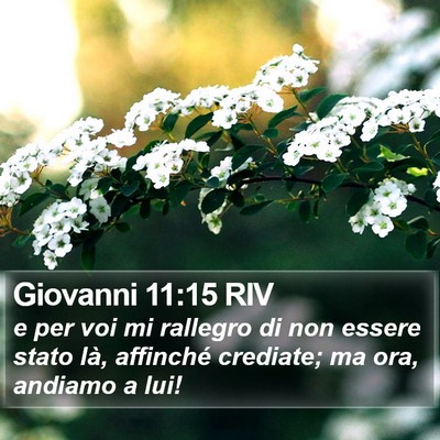 Giovanni 11:15 RIV Bible Verse Image