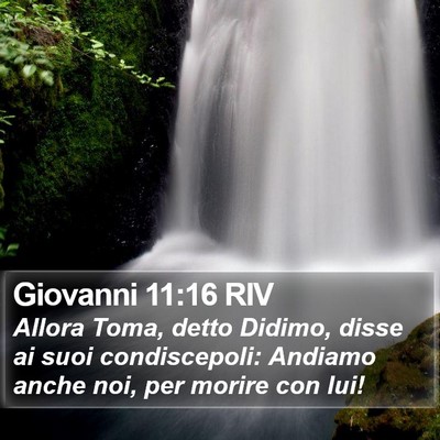 Giovanni 11:16 RIV Bible Verse Image