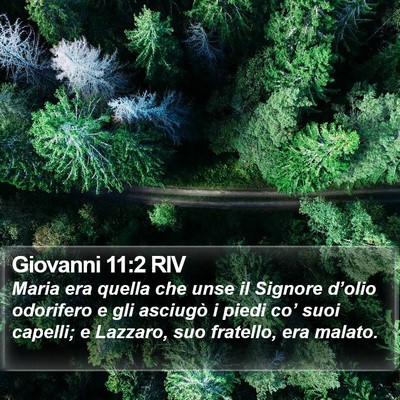 Giovanni 11:2 RIV Bible Verse Image