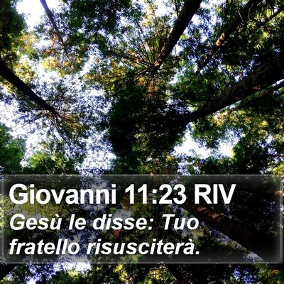 Giovanni 11:23 RIV Bible Verse Image