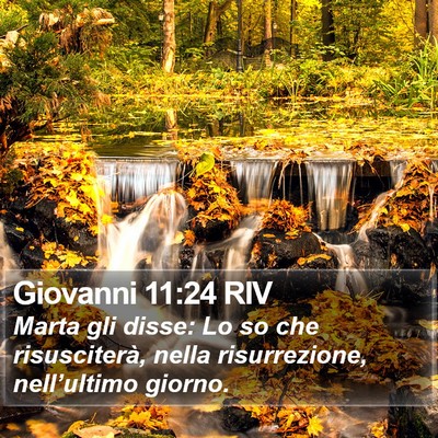 Giovanni 11:24 RIV Bible Verse Image