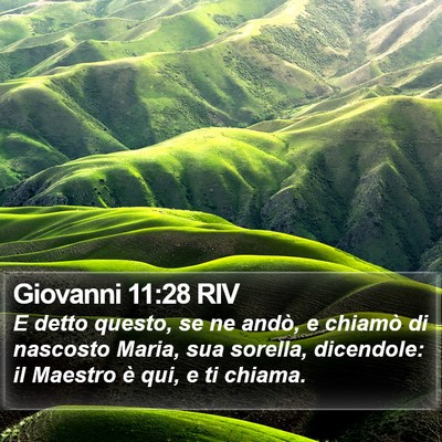 Giovanni 11:28 RIV Bible Verse Image