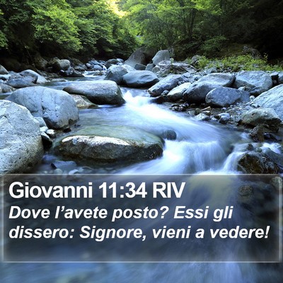 Giovanni 11:34 RIV Bible Verse Image