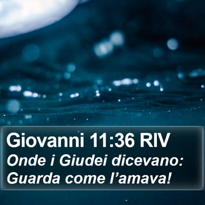 Giovanni 11:36 RIV Bible Verse Image