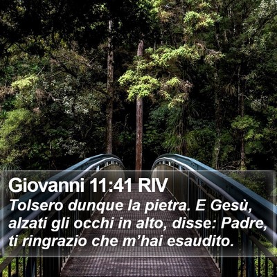 Giovanni 11:41 RIV Bible Verse Image