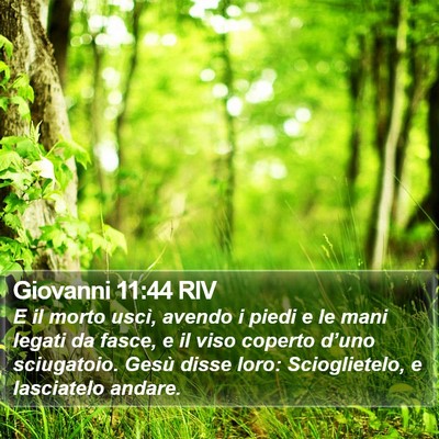 Giovanni 11:44 RIV Bible Verse Image