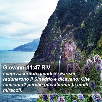 Giovanni 11:47 RIV Bible Verse Image
