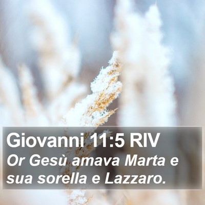 Giovanni 11:5 RIV Bible Verse Image