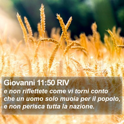 Giovanni 11:50 RIV Bible Verse Image