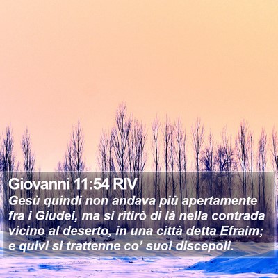 Giovanni 11:54 RIV Bible Verse Image