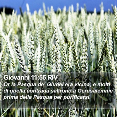 Giovanni 11:55 RIV Bible Verse Image
