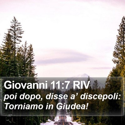 Giovanni 11:7 RIV Bible Verse Image
