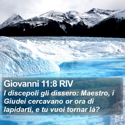 Giovanni 11:8 RIV Bible Verse Image