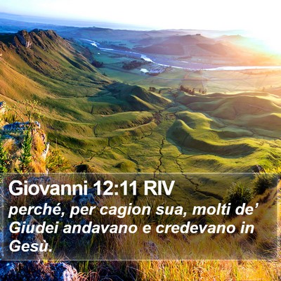 Giovanni 12:11 RIV Bible Verse Image