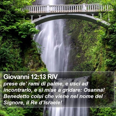 Giovanni 12:13 RIV Bible Verse Image
